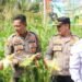 Polres Bangka Barat Laksanakan Zoom Meeting dan Panen Perdana Jagung Serentak.