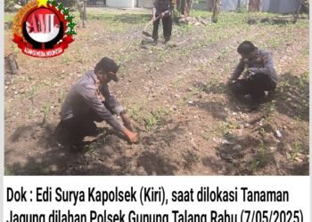 Wujudkan Polri Presisi, Kapolsek Gunung Talang Ajak Jajaran Tanami Lahan Kosong Dengan Tanaman Jagung