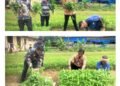Terus Jalankan Program Akselerasi Menteri Imipas: Warga Binaan Lapas Bangkinang Kembali Panen Sayur Kangkung 