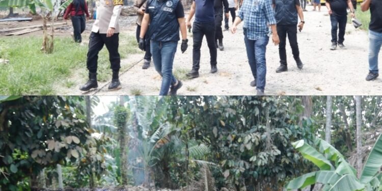 Polda Sumut Ungkap Peredaran Narkoba di New Blue Star: Keberhasilan dan Tantangan Berulang, Kini Ajukan Penutupan 