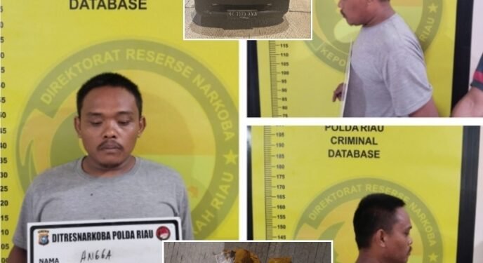 Polda Riau Gagalkan Peredaran Sabu Tujuan Sumatera Barat