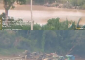 PETI di Sanggau Kian Brutal, Diduga Dijalankan di Depan Hidung Aparat