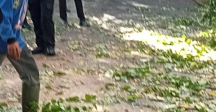 Satlantas Polres Langkat Bergerak Cepat Bersama DLH dan BPBD, Bersihkan Pohon Tumbang di Jalan Tengku Umar