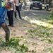 Satlantas Polres Langkat Bergerak Cepat Bersama DLH dan BPBD, Bersihkan Pohon Tumbang di Jalan Tengku Umar
