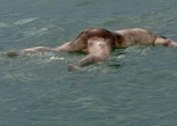 Kabar Mengejutkan!!, Penemuan Sesosok Mayat Mengapung di Perairan Laut Desa Pulau Lalang Kecamatan Singkep Selatan.