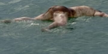Kabar Mengejutkan!!, Penemuan Sesosok Mayat Mengapung di Perairan Laut Desa Pulau Lalang Kecamatan Singkep Selatan.