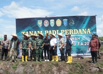 Drone Mulai Masuk Sawah: TNI dan Kementan Launching Penanaman Padi Modern di OKI