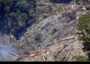 Kemenhut Temukan Lima Lokasi Penebangan Ilegal, Diduga Picu Banjir Sumatra