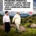 Prabowo Perintah Bangun 1 Juta Hektar Lahan di Papua Untuk Jadi Lumbung Pangan Dunia