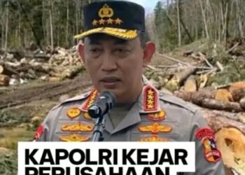 Dampak Bencana Aceh-Sumut: Kapolri Akan Melakukan Penegakan Hukum Terhadap Perusahaan/Individu Terbukti Melakukan Penebangan Liar