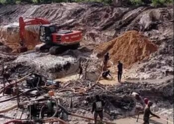 Tambang Kepala Burung Disorot: Dugaan Bagi-Bagi Blok, Aparat Turun Nambang Hingga Timah Rawan Diselewengkan