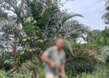 Komentar Akun Anonim di Grup “Melawi Informasi” Dinilai Menyesatkan, Kebebasan Pers Tak Boleh Dibungkam