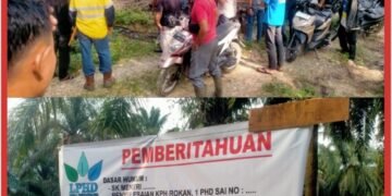 Warga Lima Desa Dan LPHD Protes, PT SAI Masih Panen Buah Sawit Di Area Sengketa Kawasan Hutan Desa