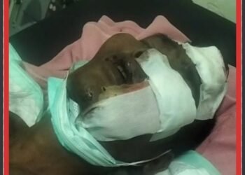 Diduga Mengalami Gangguan Jiwa, Seorang Warga Pendatang Mengamuk di Kuta Berakhir Babak Belur Diamuk Massa.! 