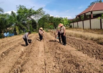 Dukung Ketahanan Pangan, Kapolres Melawi Perintahkan Seluruh Personel Terlibat Dalam Proses Tanam Jagung