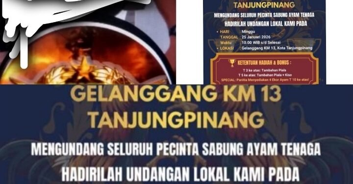 Diduga Dibekingi Oknum TNI, Praktik Judi Skala Besar di Tanjungpinang Disorot Publik