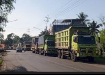 Pemprov Sumsel Pertimbangkan Diskresi Terbatas Angkutan Batu Bara ke PLTU Bengkulu