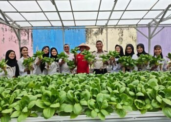 Lapas Pekanbaru Panen Sayur Pak Coy, Wujud Nyata Dukung Ketahanan Pangan Nasional dan 15 Program Aksi Kemenimipas 2026