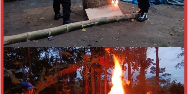 Polres Malang Bongkar Arena Sabung Ayam di Sumberpucung, Berawal dari Laporan 110