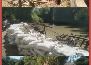 Fakhrijal: Pemerintah Daerah Harus Segera Buat Brojong untuk Menahan Banjir