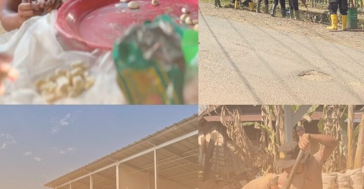 Brimob Sumut Kawal Huntara, Lingkungan Batang Toru Kembali Tertata