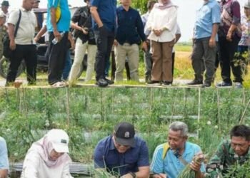 Bupati Deliserdang Genjot Program Unggulan Ketahanan Pangan, Deli Serdang Raih Prestasi Inflasi Terendah Per Januari 2026