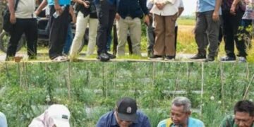 Bupati Deliserdang Genjot Program Unggulan Ketahanan Pangan, Deli Serdang Raih Prestasi Inflasi Terendah Per Januari 2026