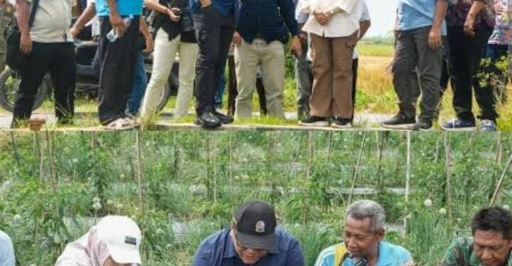 Bupati Deliserdang Genjot Program Unggulan Ketahanan Pangan, Deli Serdang Raih Prestasi Inflasi Terendah Per Januari 2026