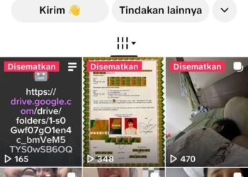 Akun TikTok Della Rianadita Lenyap Usai Viral, Polemik Etika Pejabat RSUD Makin Menguat