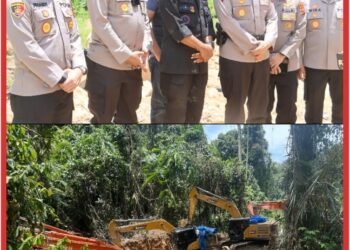 Polda Sumut Bongkar Tambang Emas Ilegal Beromzet Miliaran, 17 Orang dan 14 Ekskavator Diamankan