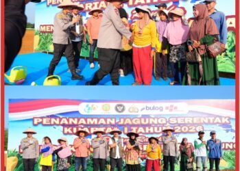 Penanaman Jagung Serentak Kwartal 1 Tahun 2026 Polda Sumut, Dukung Ketahanan Pangan Nasional