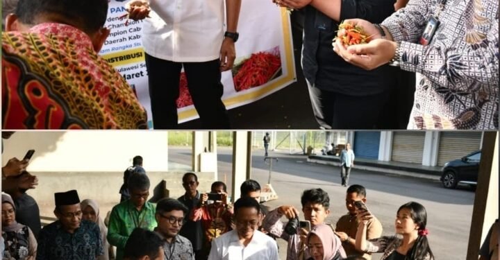 Pemda Lombok Timur Datangkan Cabai dari Sulawesi untuk Kendalikan Harga di Pasar