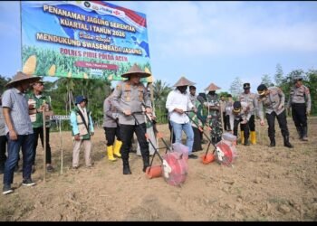 Kapolres Pidie Ikuti Tanam Raya Jagung Serentak Kuartal I 2026 Secara Virtual Bersama Kapolri