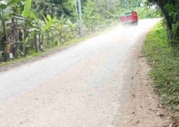 Diduga Truk Muat Batubara Kotori Jalan Raya Nasional III Pamubulan-Bayah: Dikeluhkan Pengguna Jalan