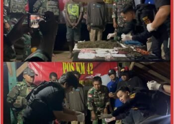 Satgas Yonif 403/WP Gagalkan Penyelundupan 2 Kg Ganja di Perbatasan RI–PNG