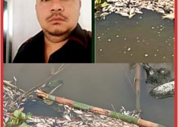 2 Bulan Jalan di Tempat! Dugaan Pencemaran Limbah Kilang Ubi di Sungai Liberia, Jhon Rawensen Purba Curigai Ada Skenario “Tutup Kasus”