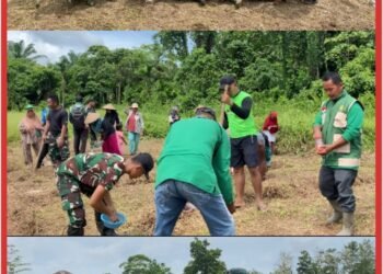 Bentuk Upaya Ketahanan Pangan, Satgas Yonif 643/Wns Tanam Jagung