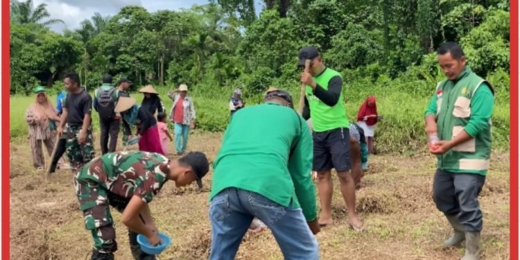 Bentuk Upaya Ketahanan Pangan, Satgas Yonif 643/Wns Tanam Jagung