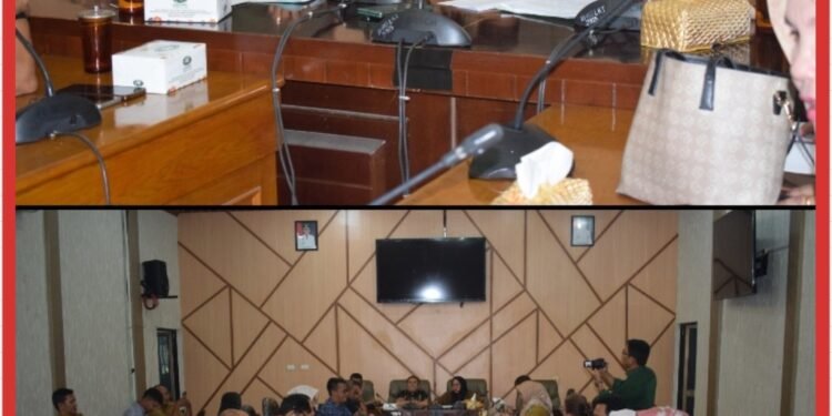 Ketua Komisi II DPRD Langkat : “RDP Ini Untuk Menyamakan Persepsi Terkait Program UHC”