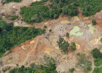 WALHI SUMUT Dukung Aparat Penegak Hukum Tindak Tegas Aktivitas Tambang Ilegal.