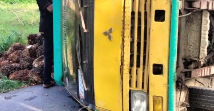 Truk Bermuatan Buah Sawit Terbalik di Jalan Lintas Secanggang Menuju Pabrik Sawit
