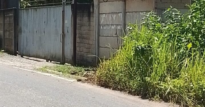 Dugaan Praktik Ilegal Smelter Timah Menguat, Masyarakat Desak Satgas Tricakti Bertindak