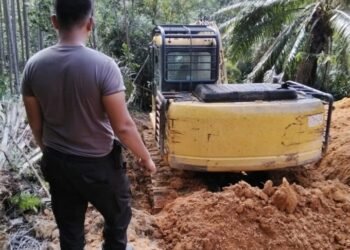 PT Barapala Acuhkan Negara, Panen Sawit di Lahan Status Quo