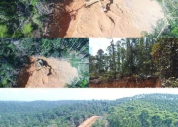 Bila Satgas PKH Garuda Tak Bertindak, Warga 6 Desa Bakal Surati Presiden Prabowo