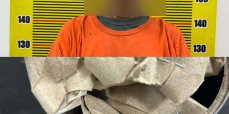 Pengedar Ganja di Medan Area Diciduk Saat Transaksi, Polisi Sita 24 Bungkus Siap Edar