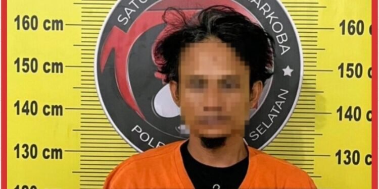 Satresnarkoba Polres Tapsel Gagalkan Peredaran 3 Kg Ganja, Dua Pelaku Ditangkap Gunakan Becak Motor