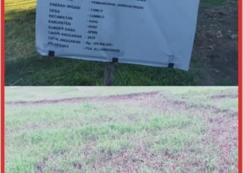 Proyek Irigasi Rp195 Juta di Bone Diduga Gagal Fungsi, Petani Terancam Gagal Panen