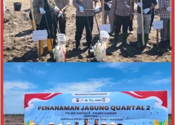 Polsek Siak Hulu dan KOPPSA-M Tanam 160 Kg Bibit Jagung, Wujud Nyata Dukung Swasembada Pangan 2026  