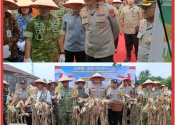 Wakapolda Riau Pimpin Panen Raya Jagung Serentak Kuartal ll Tahun 2026