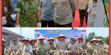 Wakapolda Riau Pimpin Panen Raya Jagung Serentak Kuartal ll Tahun 2026